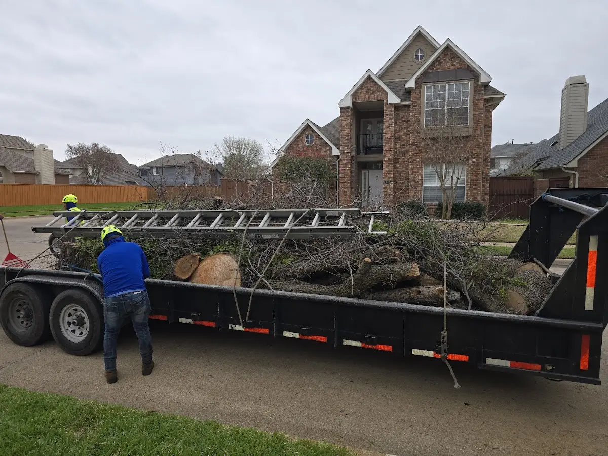 Expert Tree Pest Control with proper safety equipment in Detroit